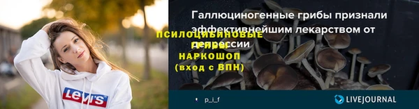 ГАЛЛЮЦИНОГЕННЫЕ ГРИБЫ Корсаков