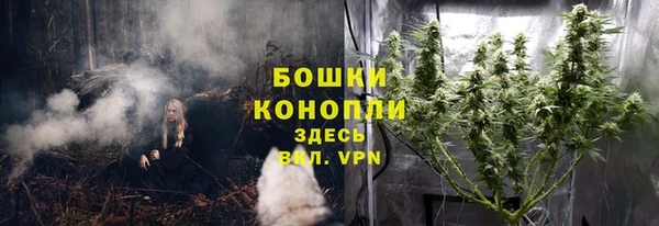 ГАЛЛЮЦИНОГЕННЫЕ ГРИБЫ Корсаков