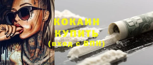 ГАЛЛЮЦИНОГЕННЫЕ ГРИБЫ Корсаков